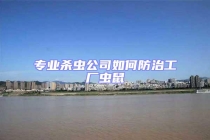 专业杀虫公司如何防治工厂虫鼠