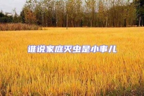 谁说家庭灭虫是小事儿