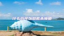 什么药可以彻底杀蟑螂