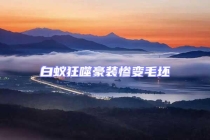 白蚁狂噬豪装惨变毛坯