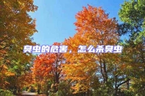 臭虫的危害，怎么杀臭虫