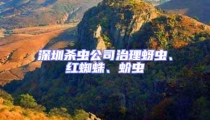 深圳杀虫公司治理蚜虫、红蜘蛛、蚧虫