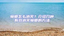 蟑螂怎么消灭?介绍几种有效消灭蟑螂的方法