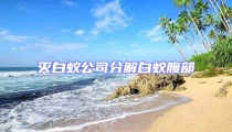 灭白蚁公司分解白蚁腹部