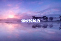 蚂蚁的防治