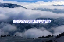 蟑螂密度高怎样防治？