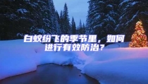 白蚁纷飞的季节里，如何进行有效防治？