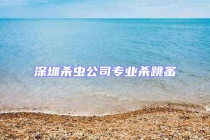 深圳杀虫公司专业杀跳蚤