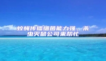 蚊蝇传播细菌能力强,杀虫灭鼠公司来帮忙