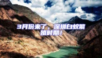 3月份来了,深圳白蚁繁殖时期!