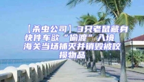 【杀虫公司】3只老鼠藏身快件车欲“偷渡”入境 海关当场捕灭并销毁被咬损物品