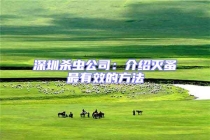 深圳杀虫公司：介绍灭蚤最有效的方法