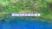 深圳白蚁站是在哪里
