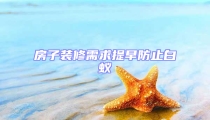 房子装修需求提早防止白蚁