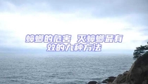 蟑螂的危害 灭蟑螂最有效的九种方法
