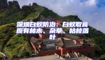 深圳白蚁防治:白蚁取食原有林木、杂草、枯枝落叶