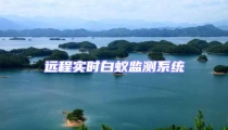 远程实时白蚁监测系统