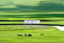 灭蚊攻略
