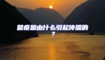 鼠疫是由什么引起传播的?