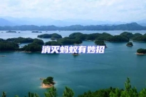 消灭蚂蚁有妙招