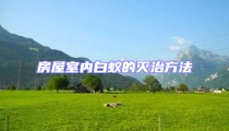 房屋室内白蚁的灭治方法