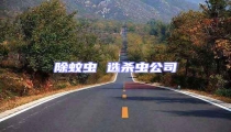 除蚊虫 选杀虫公司