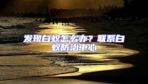 发现白蚁怎么办？联系白蚁防治中心