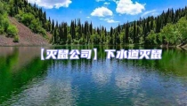 【灭鼠公司】下水道灭鼠