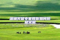 深圳灭鼠专家教你如何防鼠灭鼠