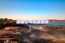 除虫公司还是选择