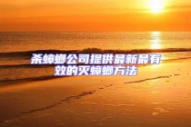 杀蟑螂公司提供最新最有效的灭蟑螂方法