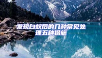 发现白蚁后的几种常见处理五种措施