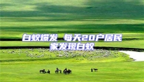 白蚁爆发 每天20户居民家发现白蚁