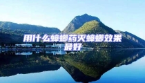 用什么蟑螂药灭蟑螂效果最好