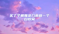 买了个根雕茶几搬回一个白蚁窝