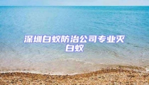 深圳白蚁防治公司专业灭白蚁