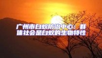 广州市白蚁防治中心:群体社会是白蚁的生物特性
