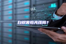 白蚁害怕光线吗？