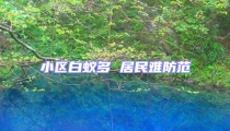 小区白蚁多 居民难防范