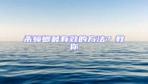 杀蟑螂最有效的方法?教你