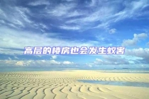 高层的楼房也会发生蚁害