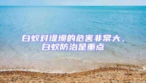 白蚁对堤坝的危害非常大，白蚁防治是重点
