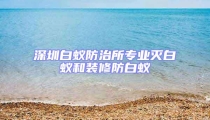 深圳白蚁防治所专业灭白蚁和装修防白蚁