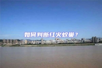 如何判断红火蚁巢？