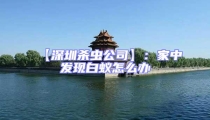 【深圳杀虫公司】:家中发现白蚁怎么办