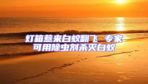 灯箱惹来白蚁翻飞 专家可用除虫剂杀灭白蚁