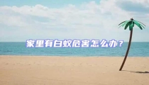 家里有白蚁危害怎么办?