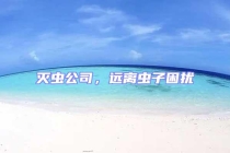 灭虫公司，远离虫子困扰