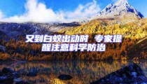 又到白蚁出动时 专家提醒注意科学防治
