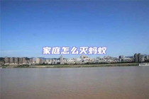 家庭怎么灭蚂蚁